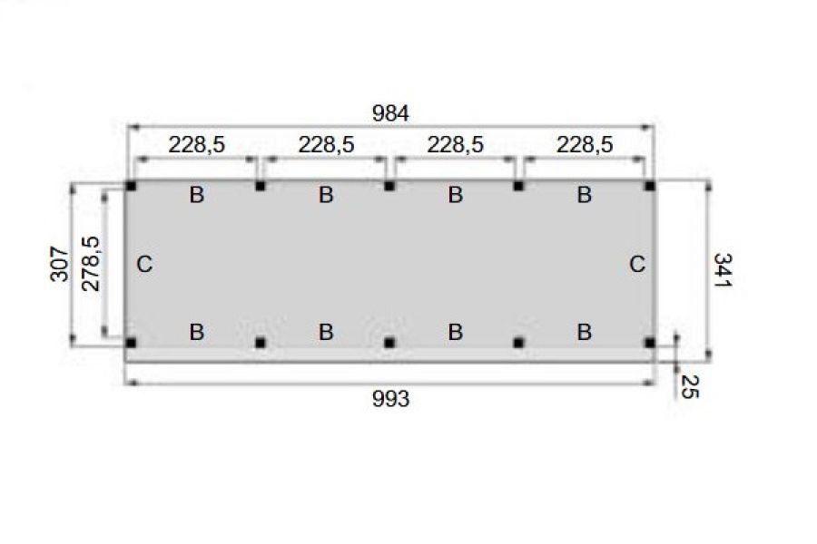 Plattegrond Overkapping Premium L 1000x310 cm 