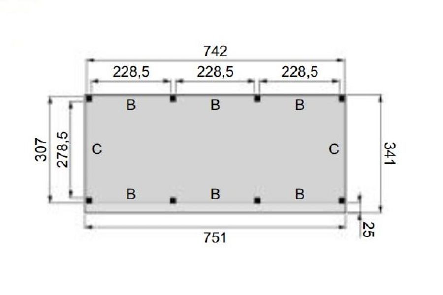 Plattegrond overkapping Premium L 750x310 cm 