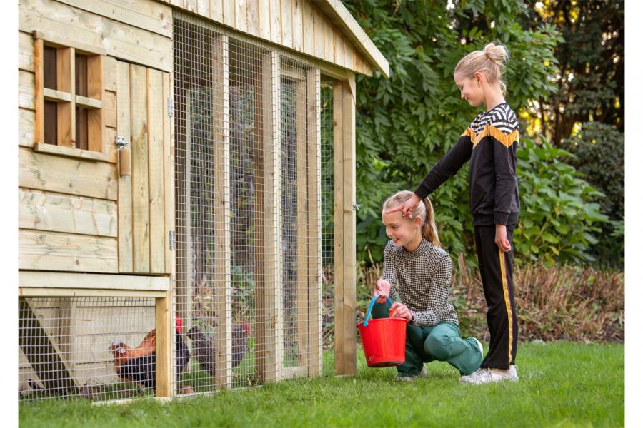 Kippenverblijf Bielefelder